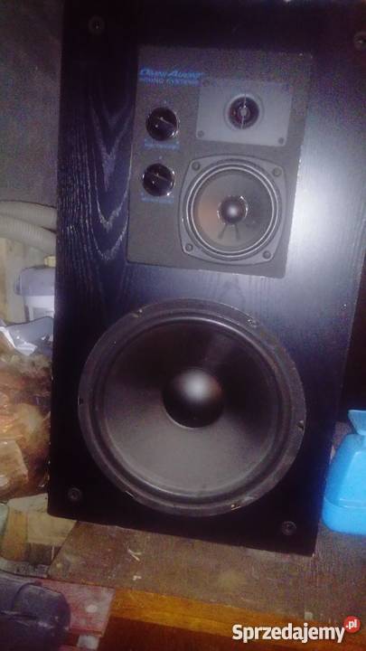 Kolumny omni audio stan zadbane 2x200watt Słuchawki i głośniki Świecie sprzedam