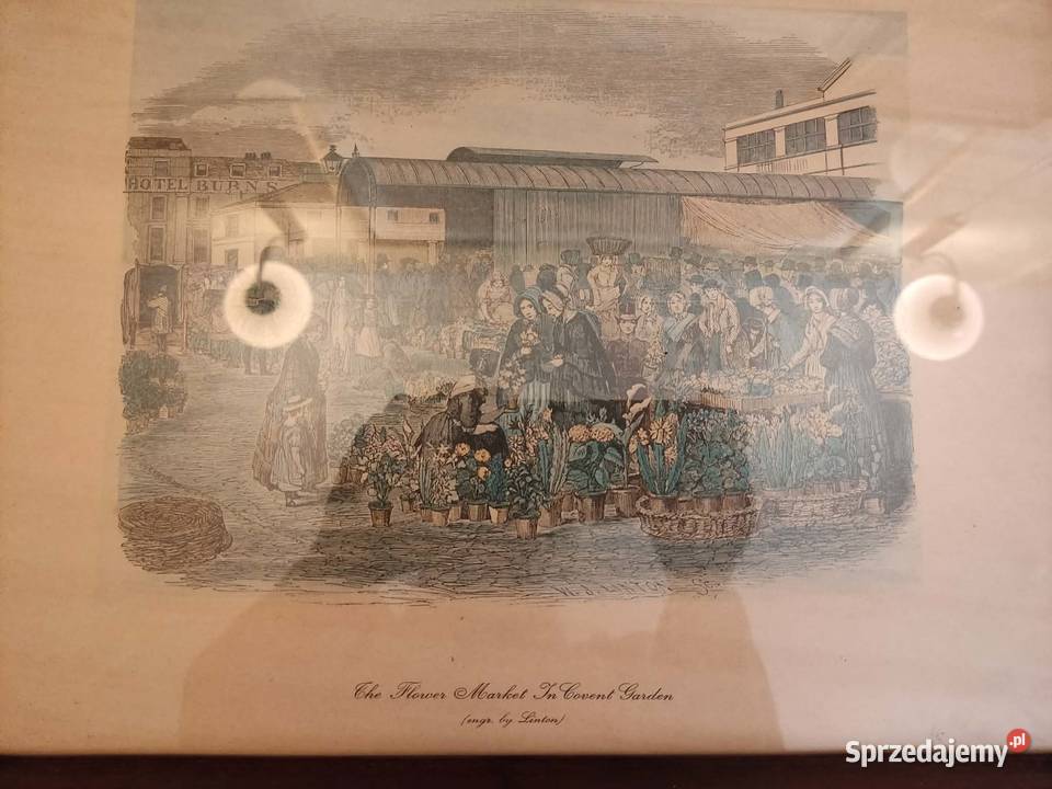 obraz obrazek obrazy Gorzów Wielkopolski sprzedam