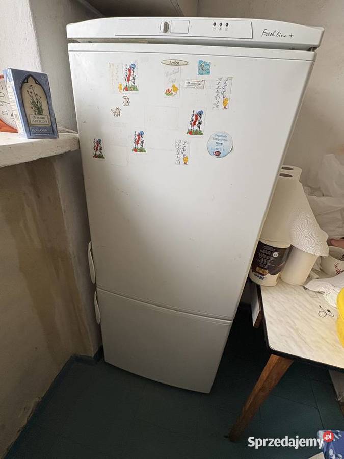 Lodówka Amica uszkodzona