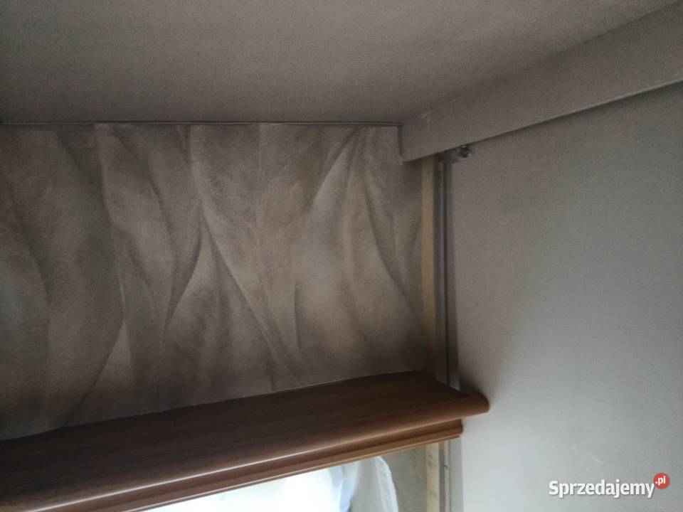 Przyczepa kempingowa rejestrowana Jesionowo