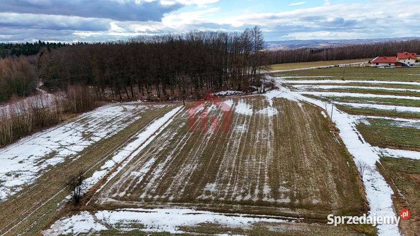 Działkę sprzedam 1176m2 Ropczyce