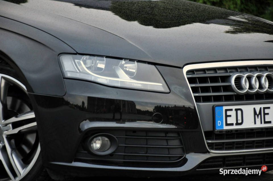 Audi A4 nieuszkodzony
