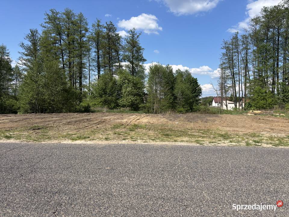 Sprzedam działkę 5600m2 Sprzedaż