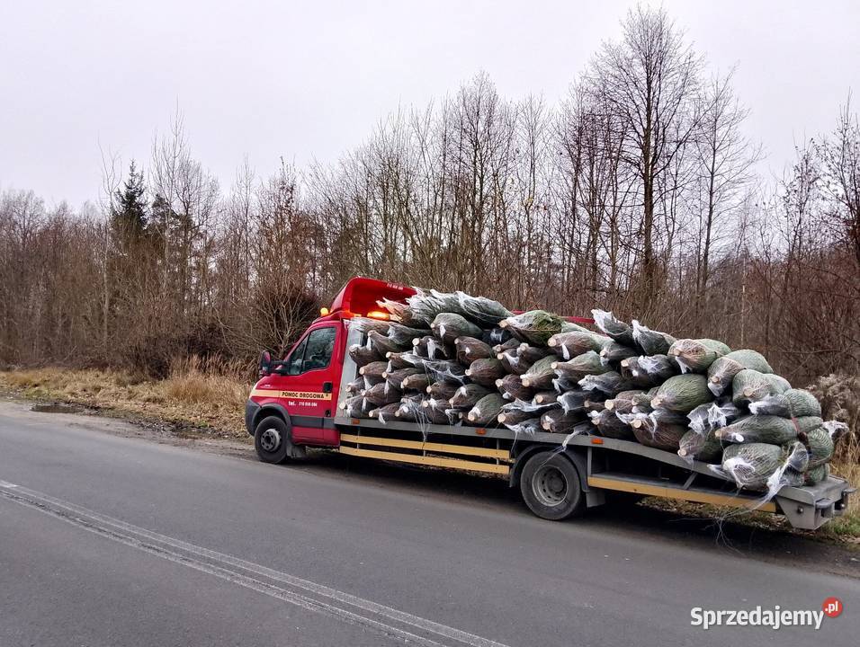 Pomoc drogowa Rychnowo laweta 24h7 510906684