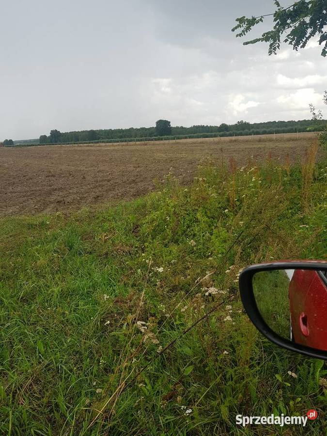 Działka rolna 3ha Mogielnica