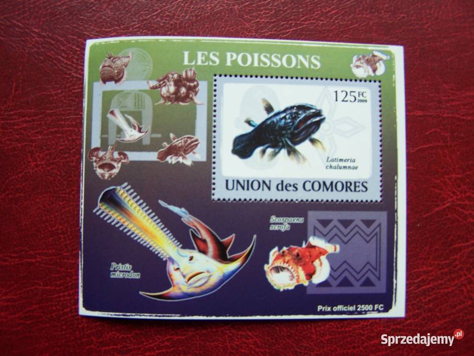 Komory 2009 MNH Fauna Życie Morskie Ryby Nakład Tychy