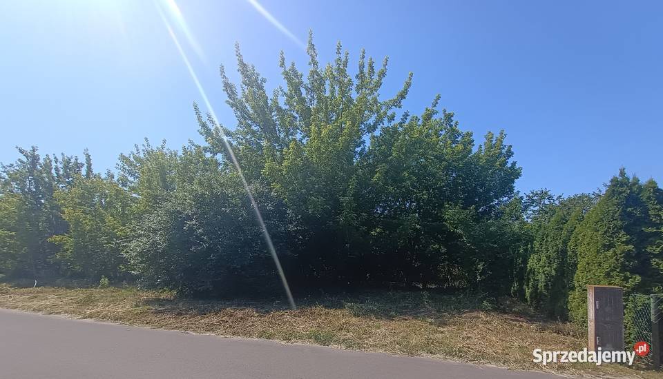 Działka budowlana 1000 m w cichej okolicy Czernikowo sprzedam