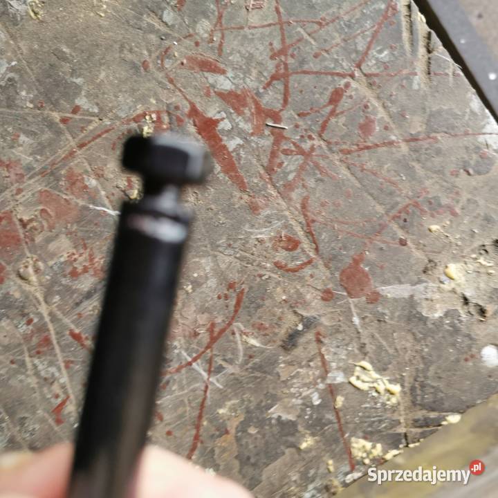 Ogar 200 wielkopolskie Poznań