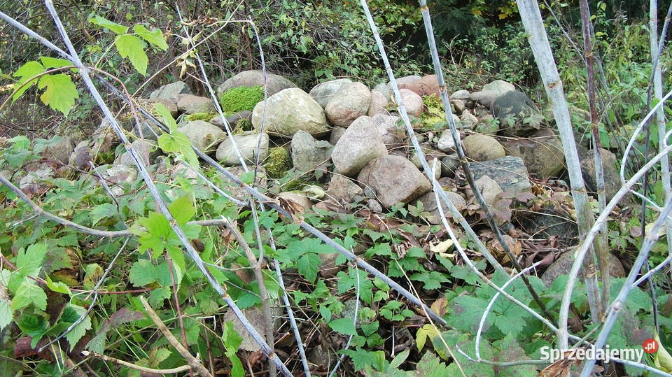 kamień otoczaik wszystkie kolory