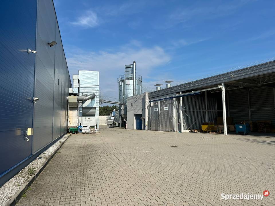 Syndyk sprzeda zorg część przedsiębiorstwa Krzywaniec