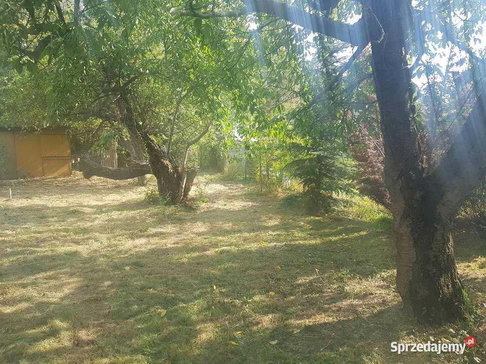 Mega Promocjia do niewielkiej negocjacji Warszawa sprzedam