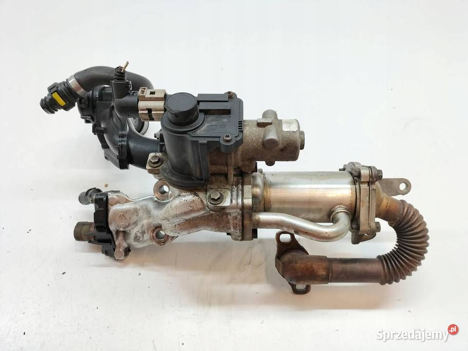 CHŁODNICA SPALIN 8200729079 15 DCI Renault sprzedam