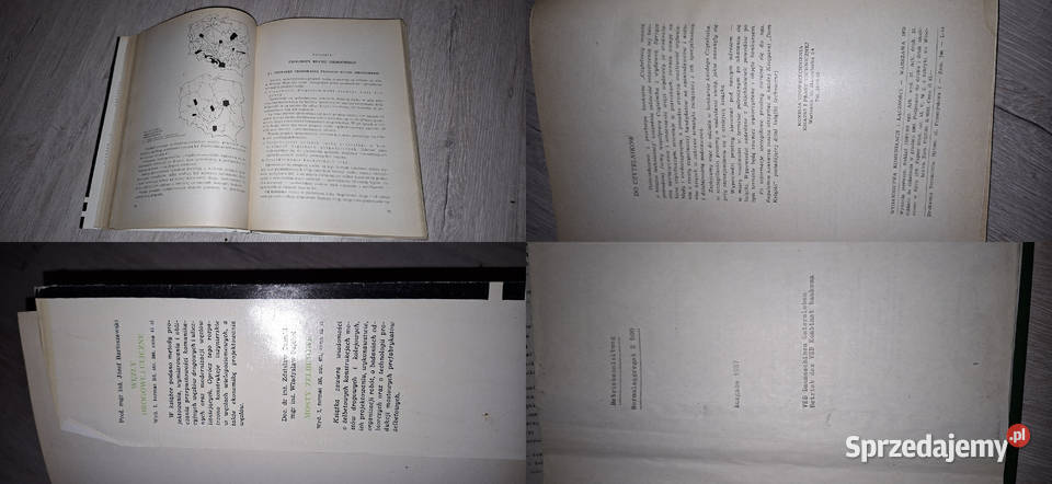 Ekonomika inwestycji drogowych Łęczyca