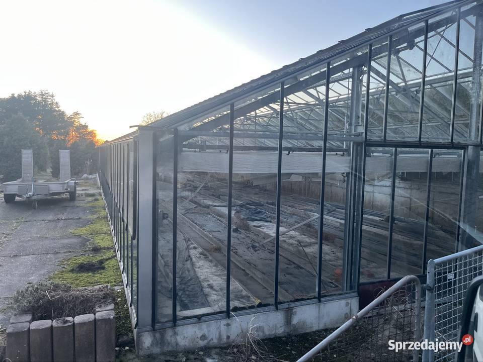 Szklarnia przemysłowa do rozbiórki 30m 10m