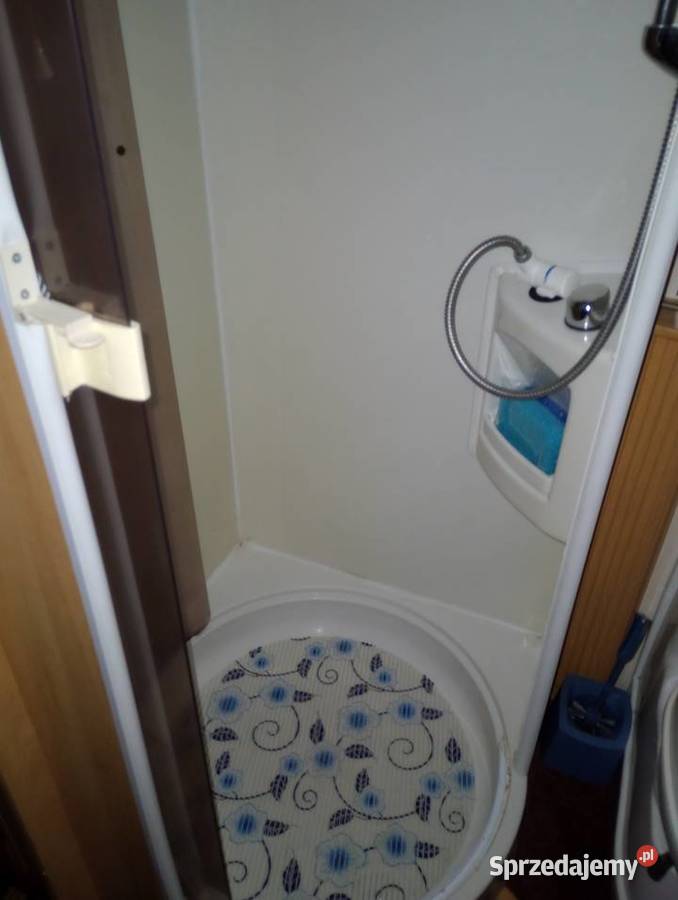 Ładna Przyczepa Angielska Sterling Topaz Kofort Radlin