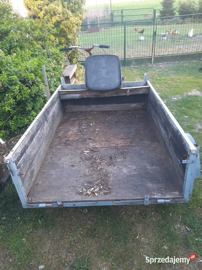 Trajka Dzik Trójkołowiec wielkopolskie