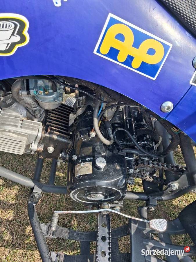 Quad 125 31 bombardier varia Ciechanowiec