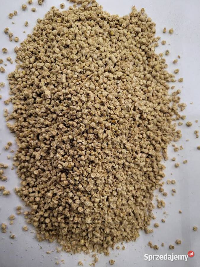 Pasza Indyk 2 Piast 25 Kontynuacja Zdrowego Liszki