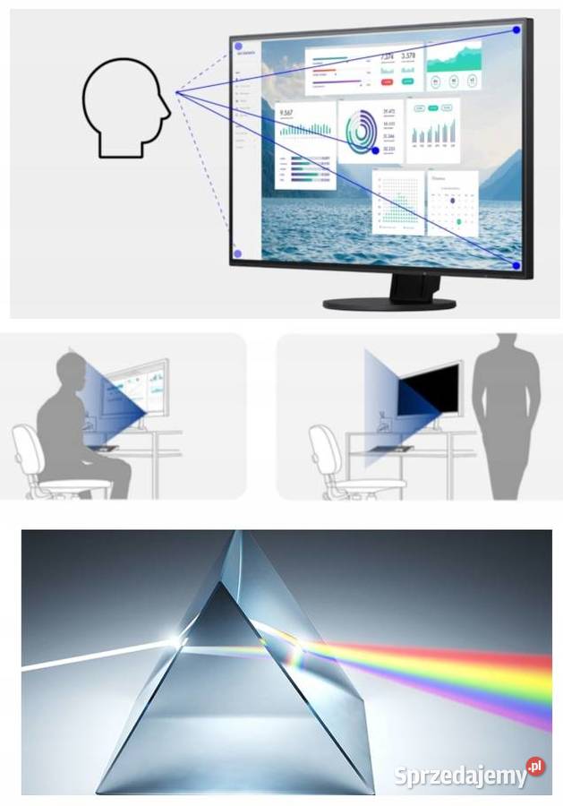 Monitor Eizo Flexscan Ev2450 24 Ips 1920X1080 Pyskowice sprzedam