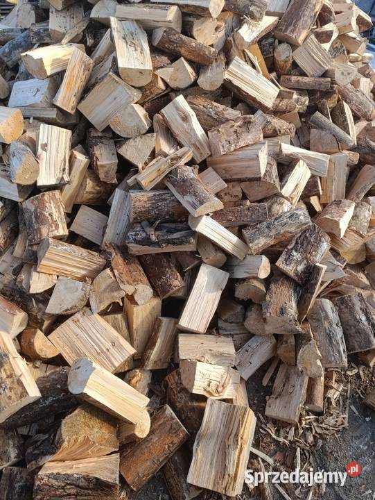 Drewno opałowe sosna suche Bytom sprzedam
