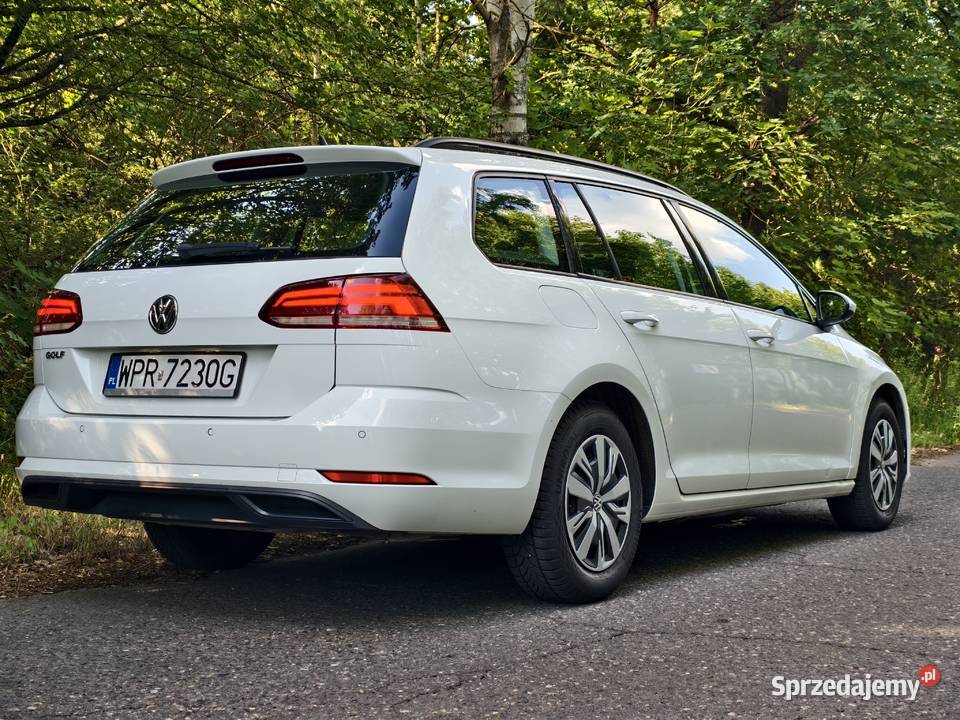 Volkswagen Golf VII 16 TDI diesel Golf Zbąszynek