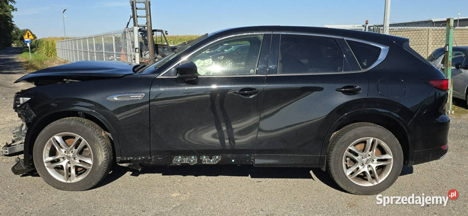 Mazda CX60 Hybrid 33 Pleszew