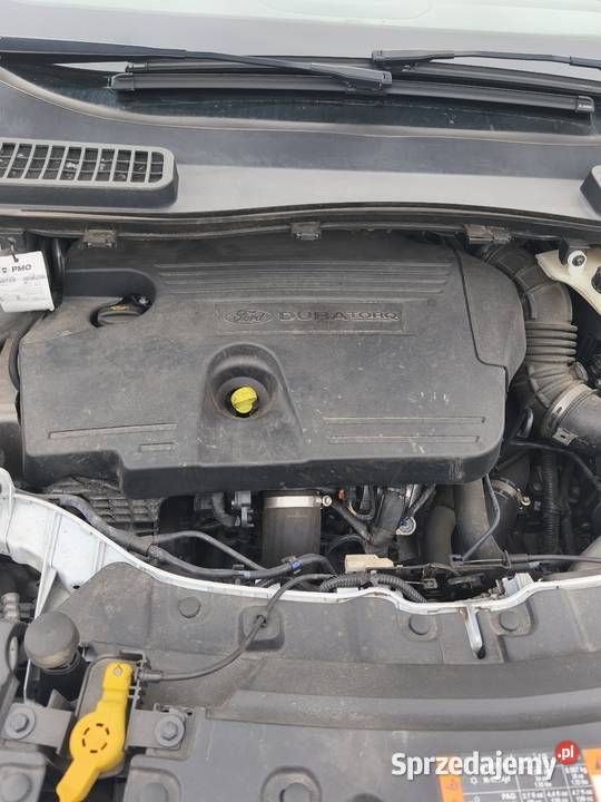 Ford Kuga Garcz