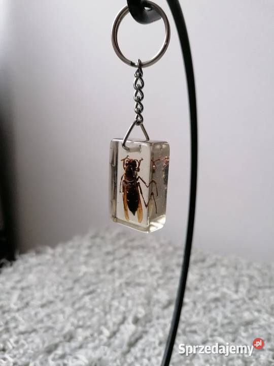 BRYLOCZEKPSZCZOŁA W ŻYWICY