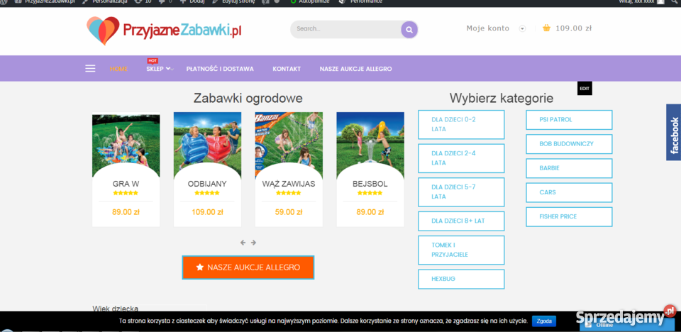 Strona internetowa Tworzenie stron www FIRM host Usługi informatyczne Warszawa