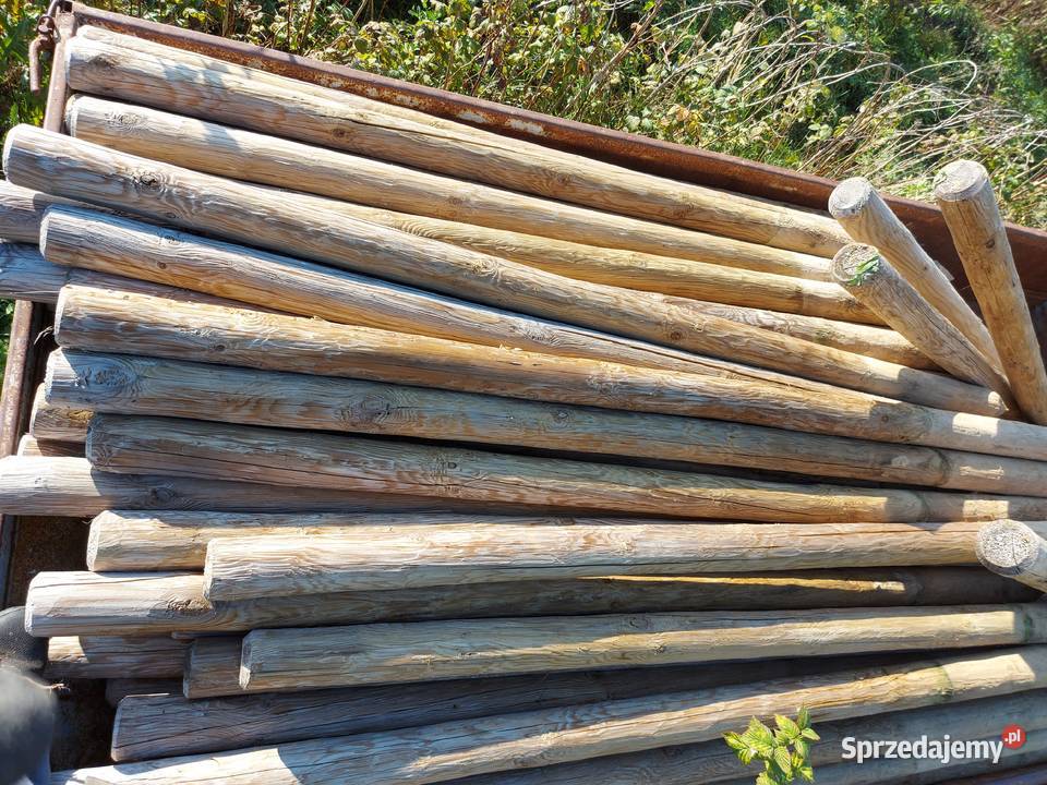 Słupki impregnowane ciśnieniowo 2 letnie Urzędów sprzedam