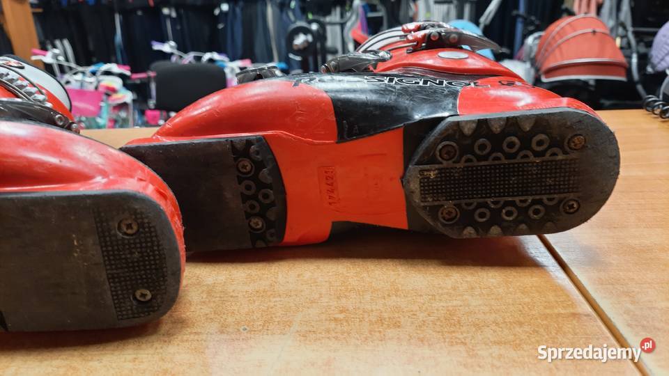 Buty narciarskie ROSSIGNOL rozmiar 3738 Dębica