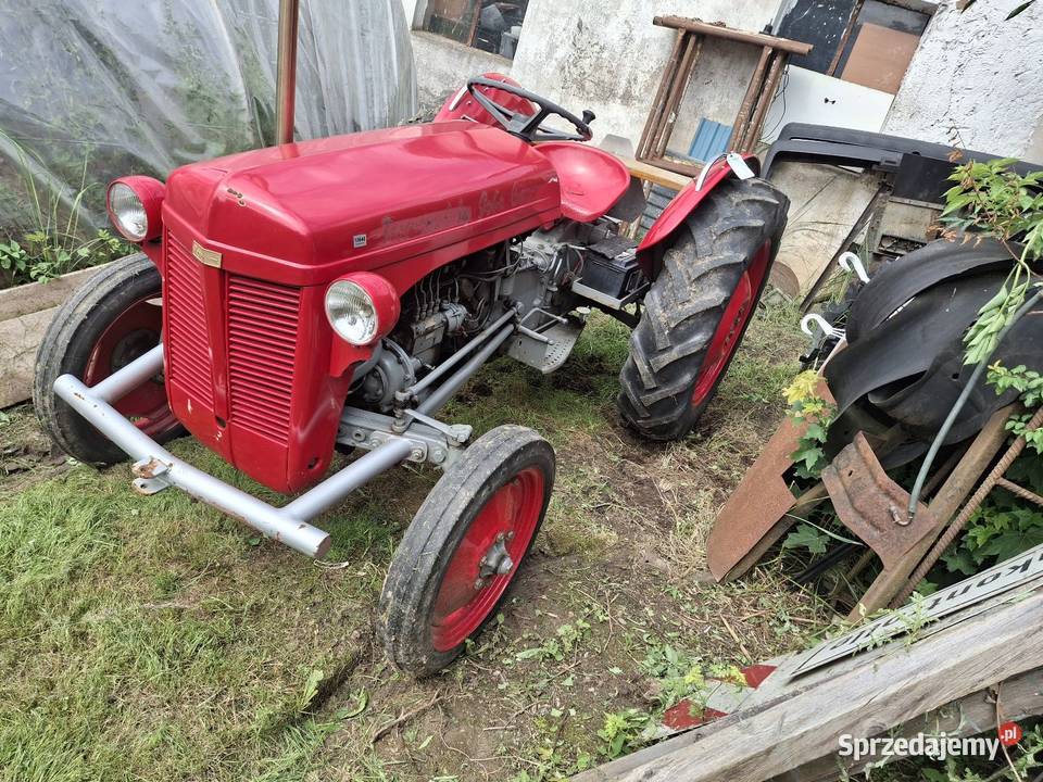 Ferguson 1952 diesel 4 cylindry Szczecin sprzedam