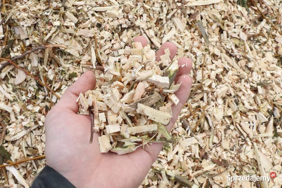 Rozdrabniacz do gałęzi LASKI LS 100 25 Wrocław