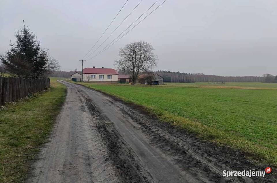 Bachus 9 Gospodarstwo 906 ha z budynkami 7zł/m2 lubelskie sprzedam
