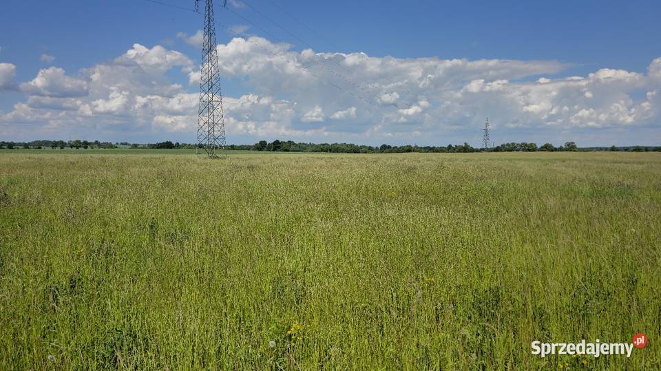 Sprzedam trawe na siano kiszonkę Bartoszyce
