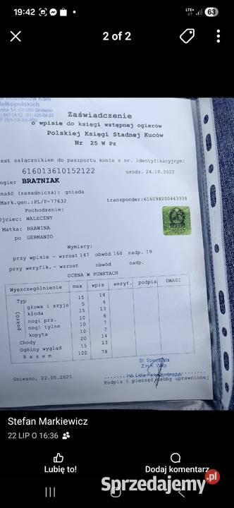 Sprzedam ogiera Tuliszków