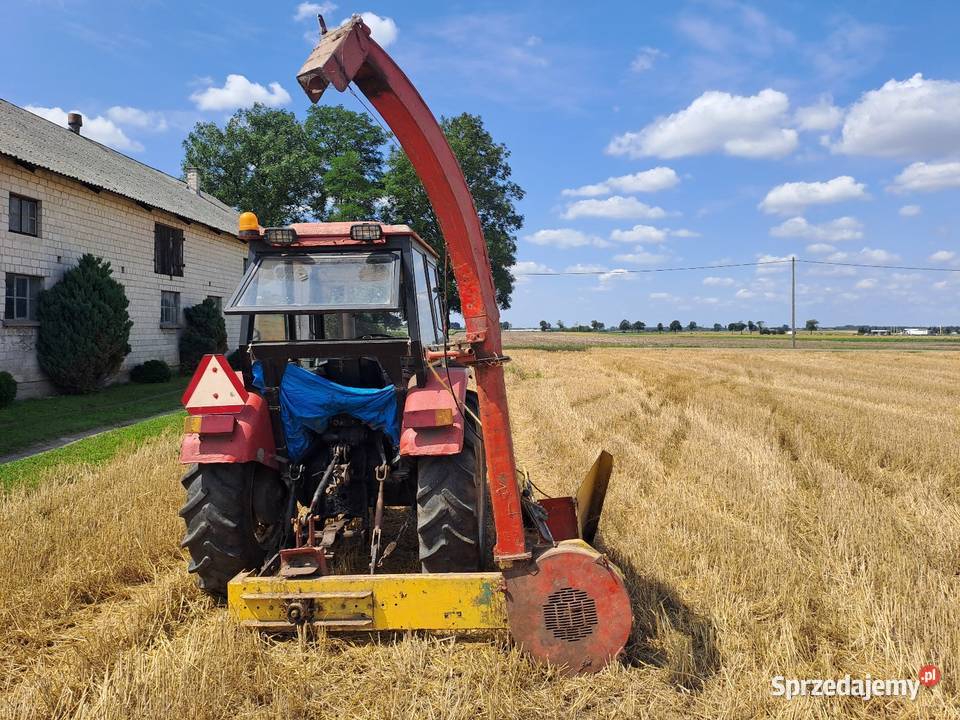 Sieczkarnia Do Kukurydzy QQ Jednorzędowa Kemper kujawsko-pomorskie Brześć Kujawski