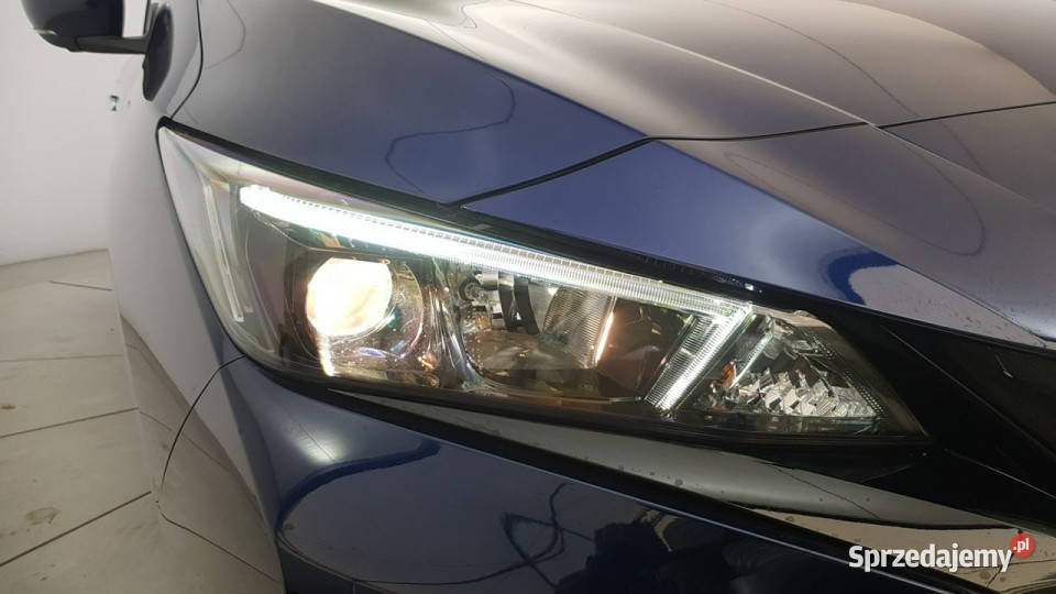 Nissan Leaf 40kWh 150 NConnecta Z polskiego Hatchback