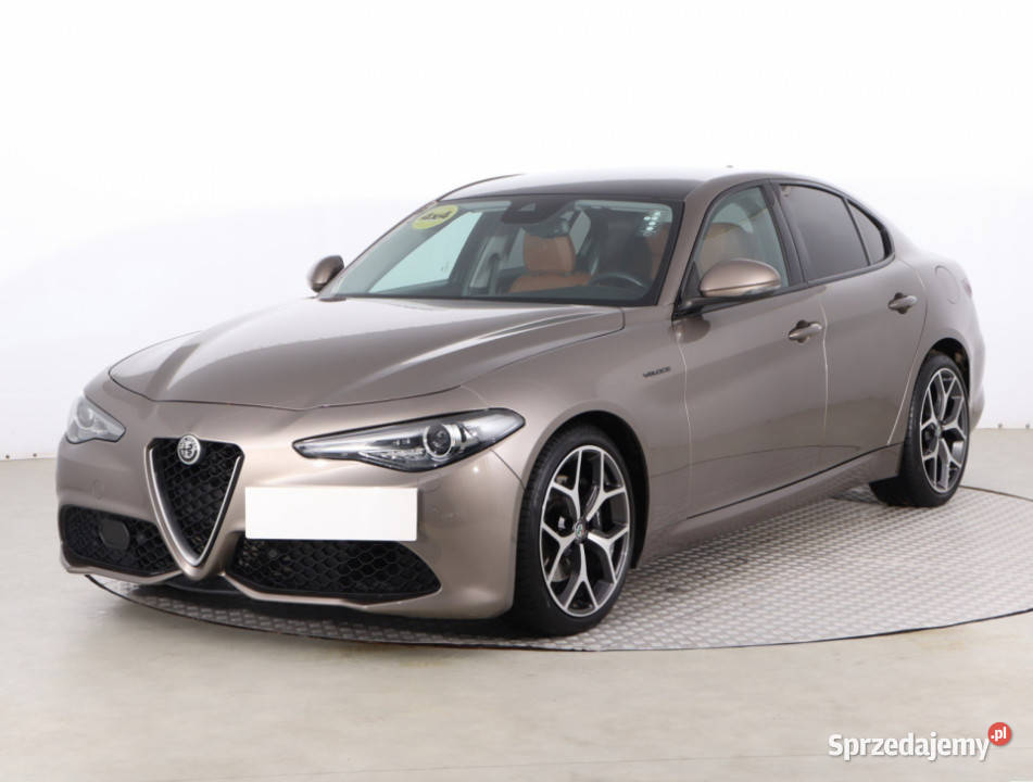 Alfa Romeo Giulia 20 Turbo podgrzewane fotele Giulia mazowieckie Piaseczno