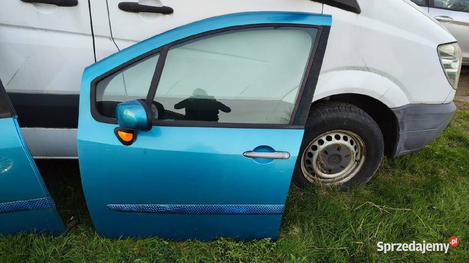 Drzwi renault Modus 5d Zabłocie