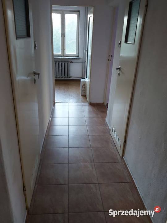 Wynajmę mieszkanie 65m2 zaraz w Parczewie Piętro 1 Parczew