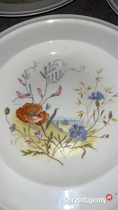 8 sztuk Talerzy do zupy Rosenthal Syg z 1944 r W pomorskie