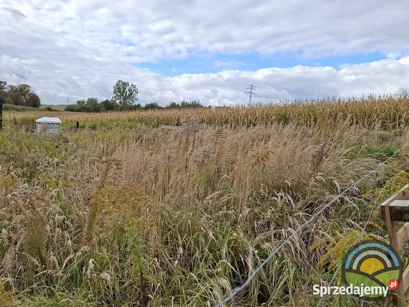 Brzezinka gm Zabierzów działka budowlana 700 m2 budowlana sprzedam