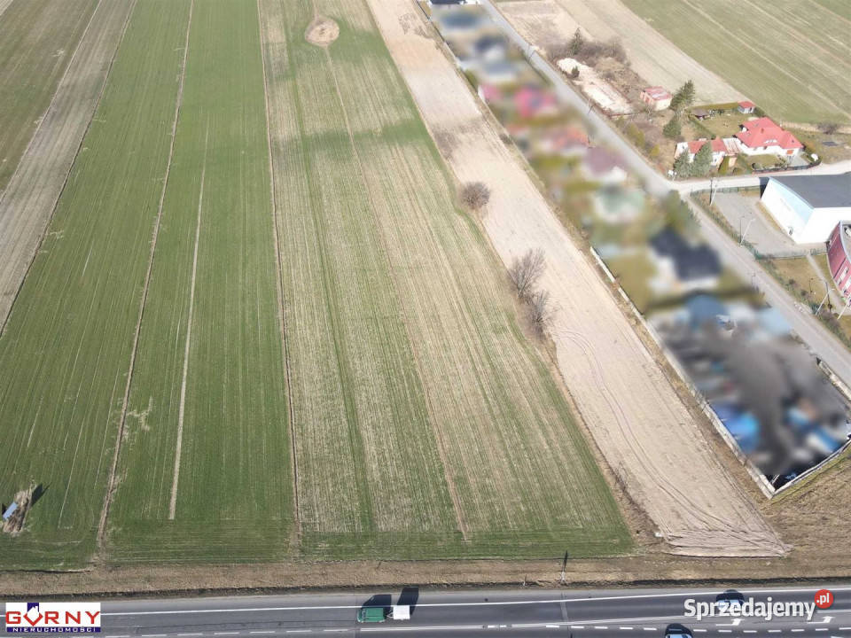 Działka Gomulin 16400m2