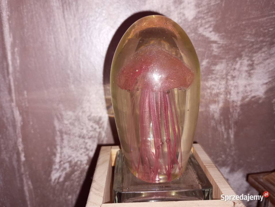 Szklany przycisk do papieru z meduzą lubelskie Biłgoraj sprzedam