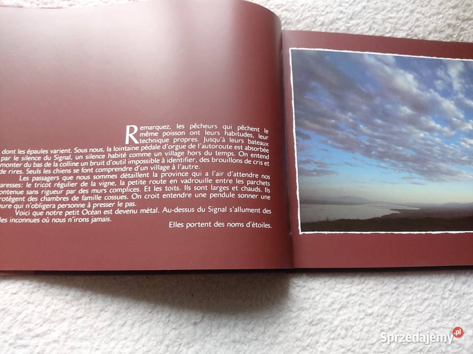 Książka LHorizon Retrouve Emile Gardaz Philippe Pozostałe Tarnów