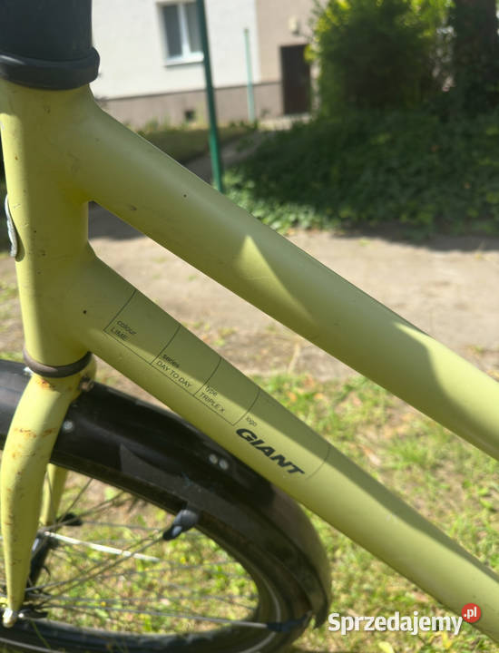 Rower giant koła 28 miejski Poznań