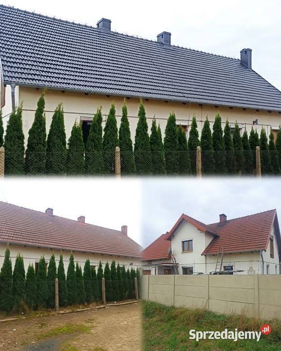 Malowanie Mycie Dachów Radomsko