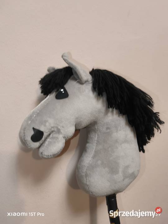 Hobby horse Podegrodzie