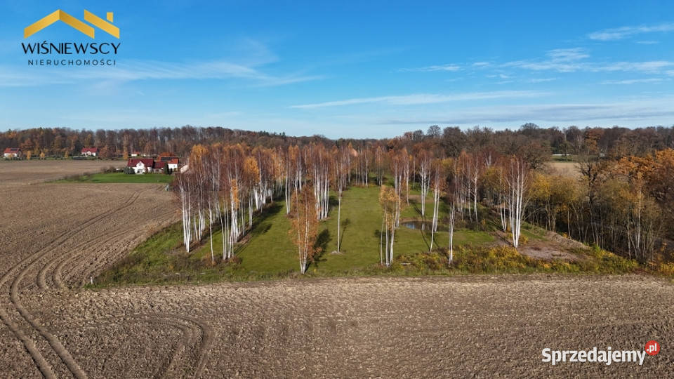 Buduj w Dawidach 3001 m z WZ warmińsko-mazurskie Dawidy